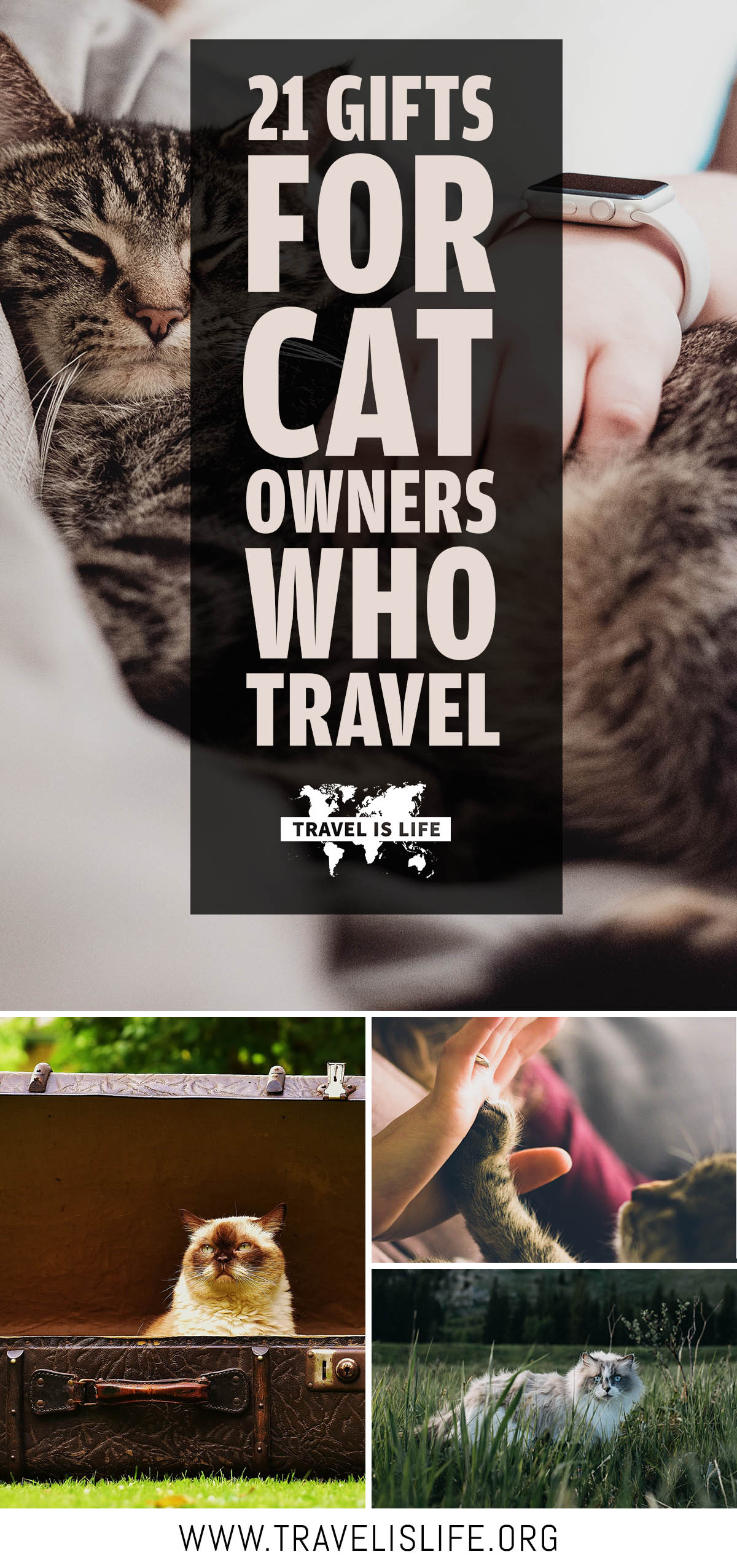 21 Gifts For Cat Owners Who Travel