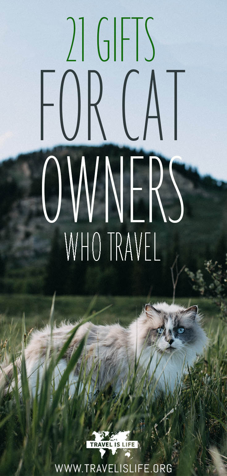 Gift Ideas for Travelers with Cats