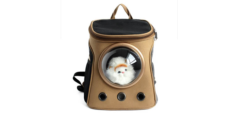 Backpack with Cat Window
