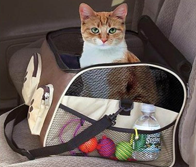 Cat Car Booster Seat and Bag