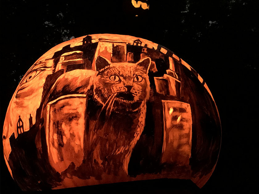Cat Jack O Lantern Illuminated