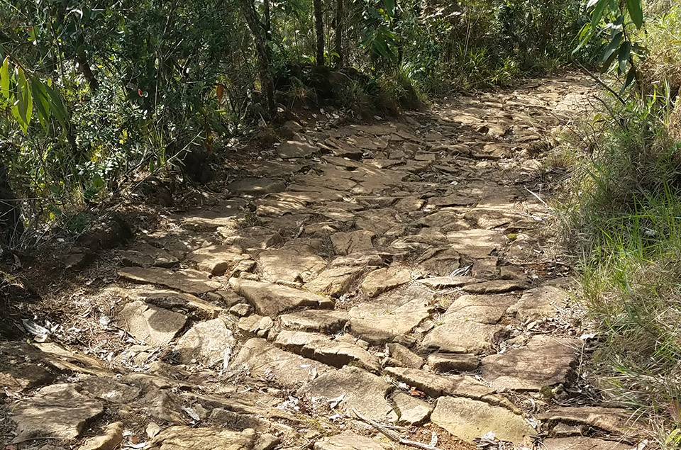 Cerro Quitasol Historic Stone Path