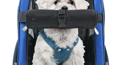 Dog Luggage Carrier on Wheels
