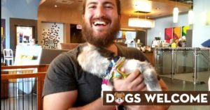 Dogs Welcome - Aloft Asheville Downtown Hotel