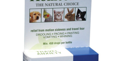 Travel Anxiety Relief For Dogs