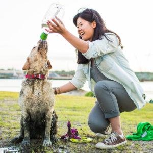 Portable Dog Shower for Traveling With Your Dog