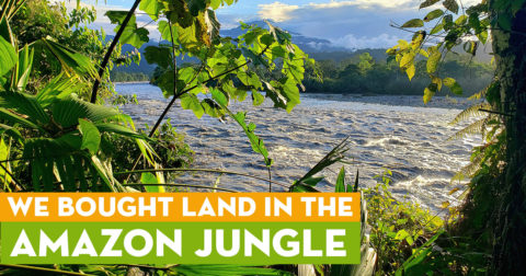 We Bought Land in the Amazon Jungle