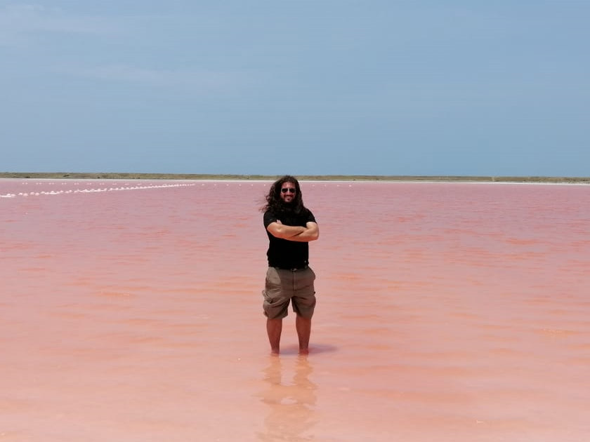 Paul Inside The Pink Sea
