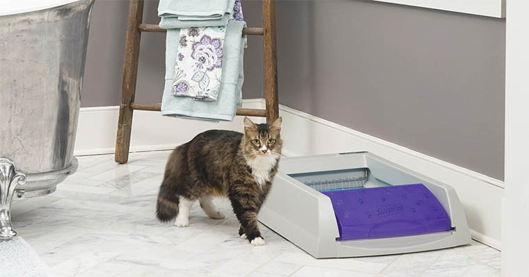 Self Cleaning Kitty Litter Box