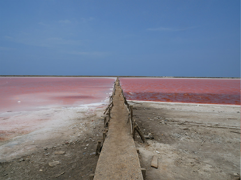 Separation of The Pink Sea