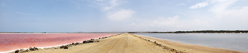 The Pink Sea Colombia Panorama