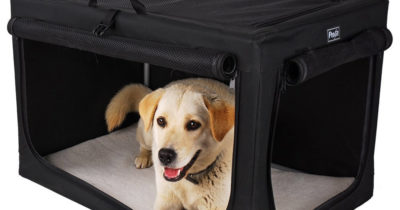 Foldable Travel Dog Crate
