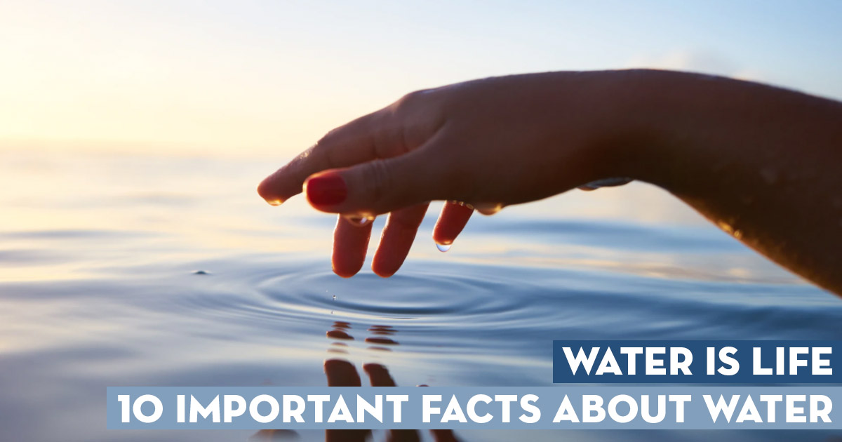 Water is Life: 10 Important Facts About Water