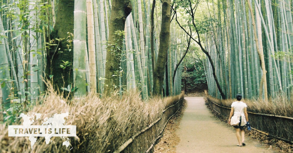 The Arashiyama Bamboo Grove in Kyoto Basin Japan