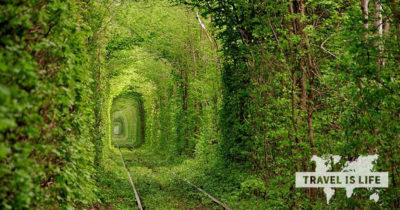 Hey babe, how about a walk through The Tunnel of Love?